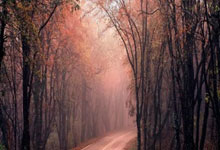 在手机怎么买股票:股票交易员是怎么炒股的-特朗普：美军发动打击 致11人死亡！马杜罗称委内瑞拉面临百年“最大威胁” 委防长：来了就打